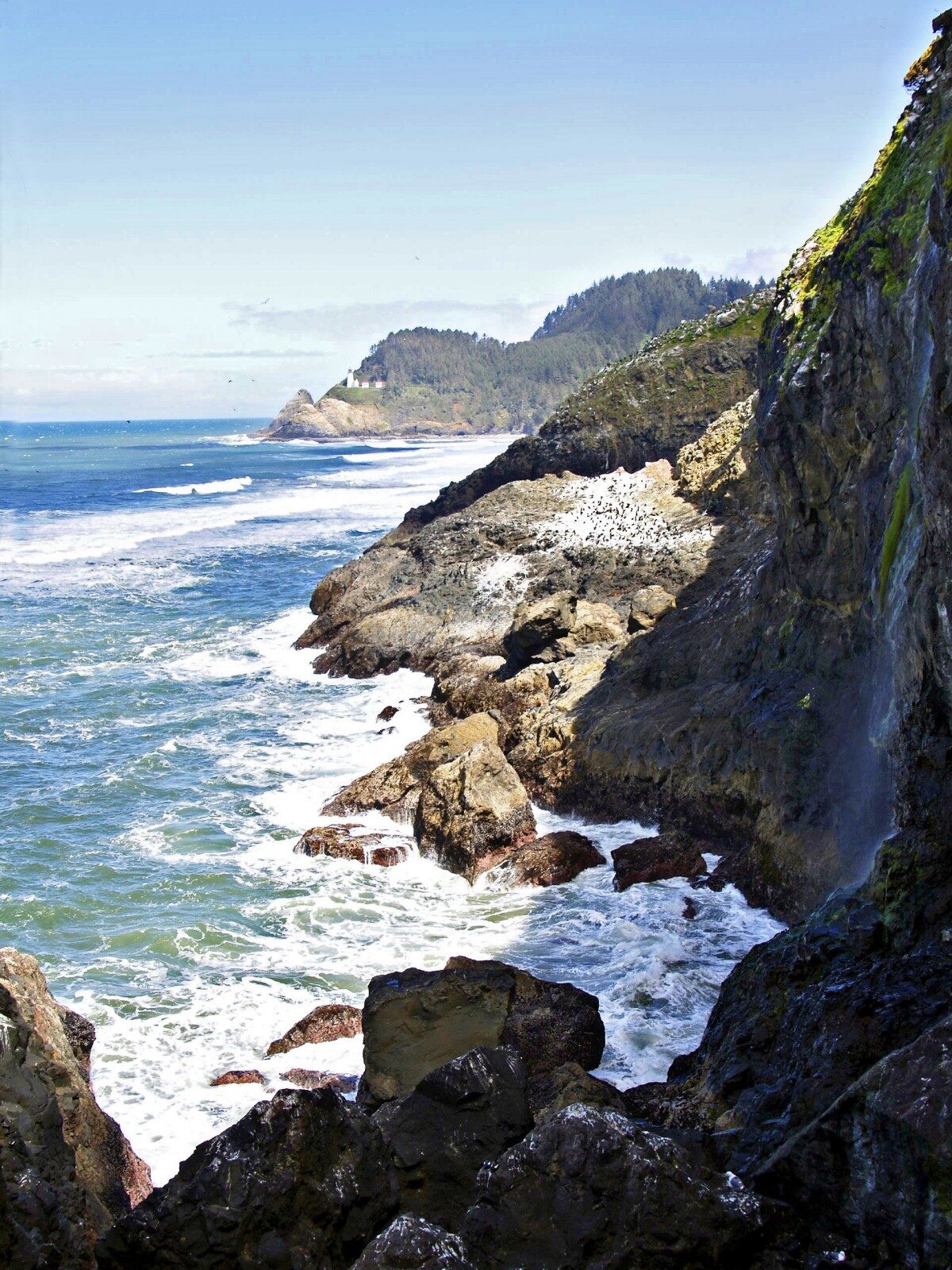 oregon_usa_coastal_line_shoreline_scenery_water_rocks-1150706-4887844